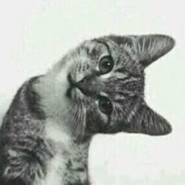 WHEN SOMEONE IN UR SQUAD SAYS THEY DONT LIKE MAJOR LAZER...