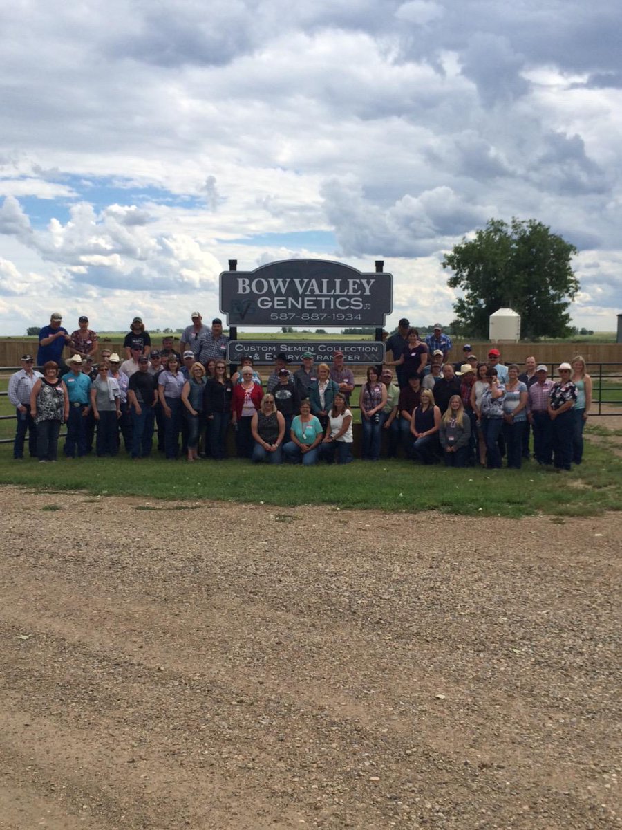 CDNLimousin's tweet image. Second stop on the Alberta Limousin Association Field Day: Bow Valley Genetics collection facility and lab #Limousin
