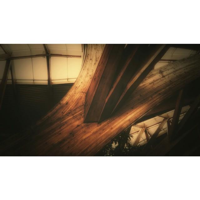 NicheEscapes's tweet image. #architecture1o1 #architectureporn #archilovers #urbanromantix #wood #pillar #light #urban #architecture #archdaily…