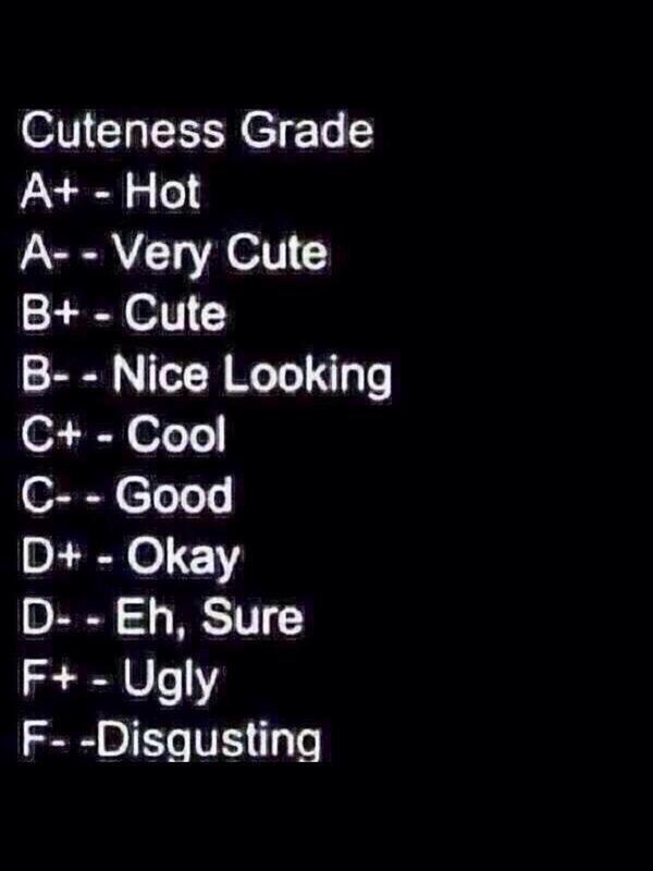 VShimmer's tweet image. What's my cuteness grade?