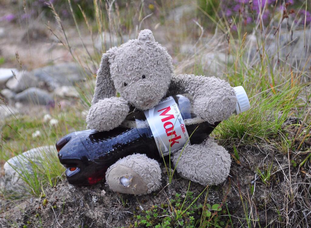 75_arnie's tweet photo. Newcastle please RT and help me get back to my owner, lost today somewhere on seafront @Slievedonard @DownDCofficial http://t.co/5cppKAHY8O