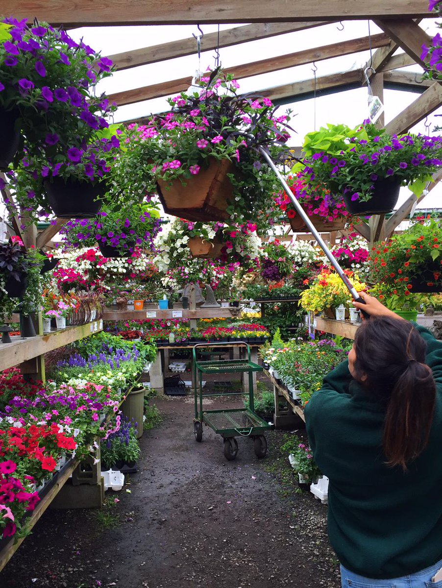 GARDENING TIP: Your hanging baskets need 6-8 LITERS of water per day!!!  There are a lot of plants to hydrate!
