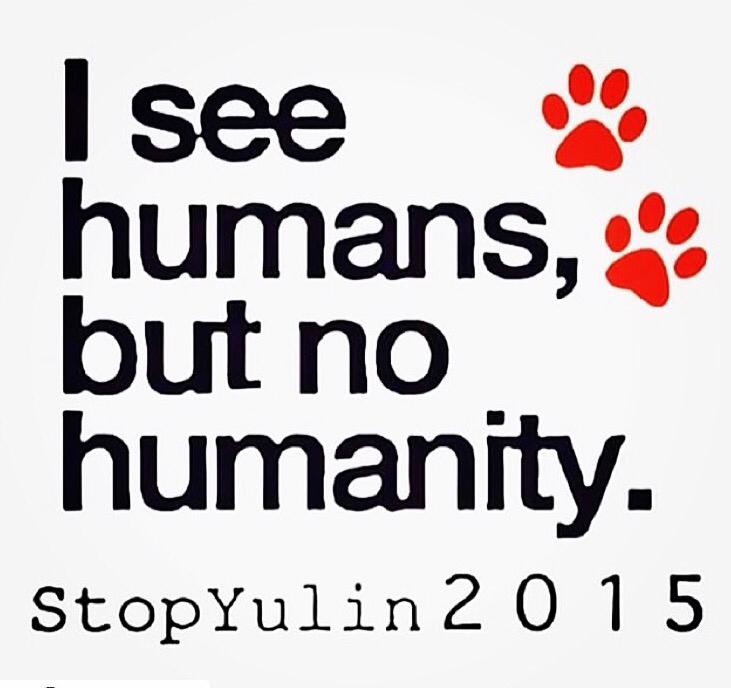 #StopYulin2015 Don't kill our friends