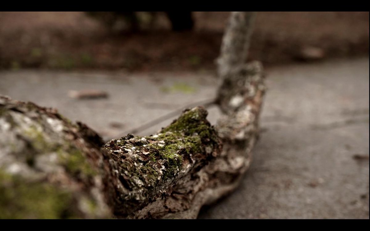 SanOliverosVarg's tweet image. .@Rectify's cinematography appreciation tweet.

#RECTIFY #WatchRectify