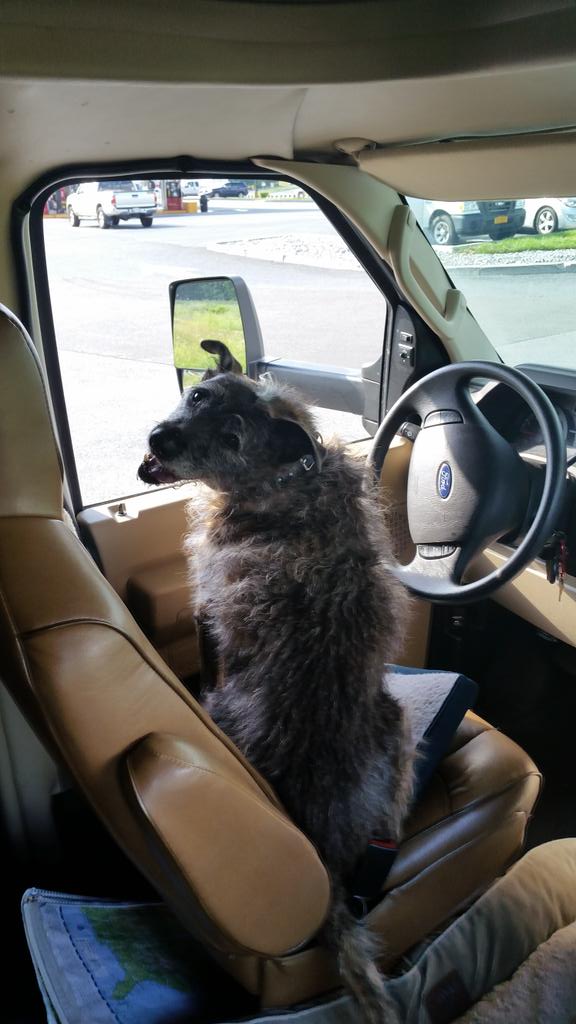 Who's the boss driving now? <a href="/cathydebuono/">Cathy DeBuono</a>