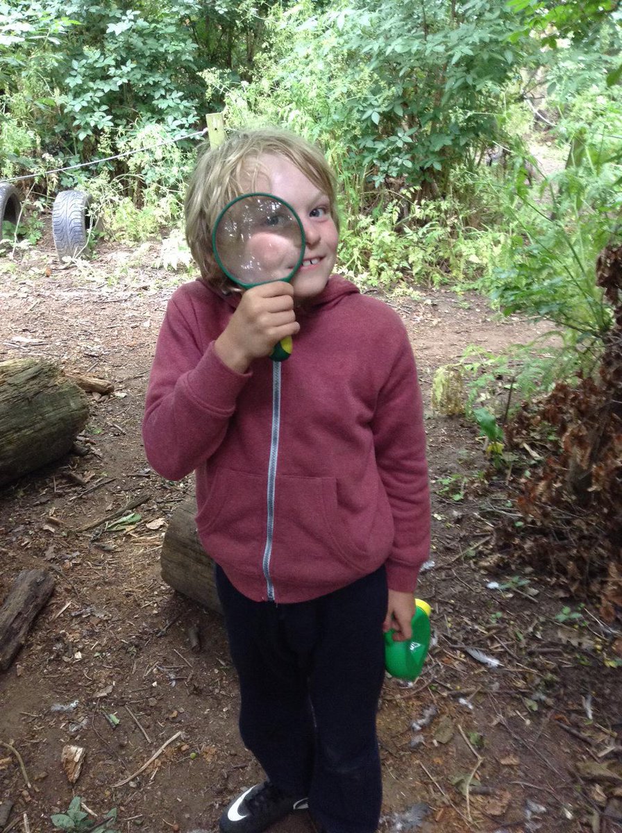 BastonSchool's tweet photo. I've got my eye on you!#mini beast detective http://t.co/oWr1LmuzLj