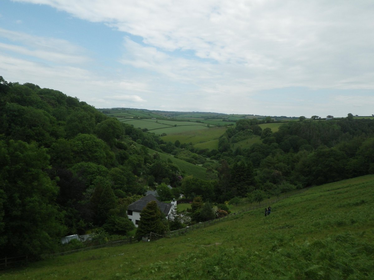PEA_volunteer's tweet image. Have a read of our #blog from last week #brackenbashing #volunteer #conservation #devon peathepod.blogspot.co.uk