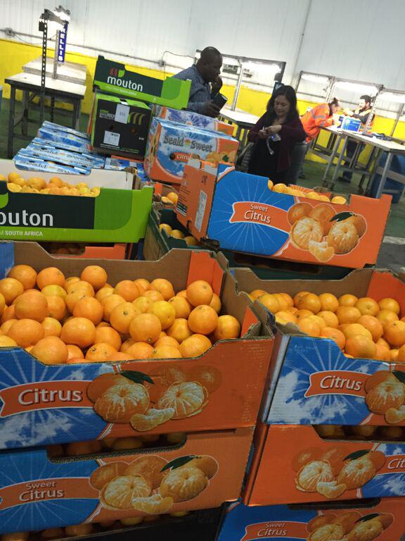 SASummerCitrus's tweet photo. S. African Summer Citrus has officially arrived! Fruits include grapefruit, easy peelers &amp; naval oranges http://t.co/U7jmNYNg22