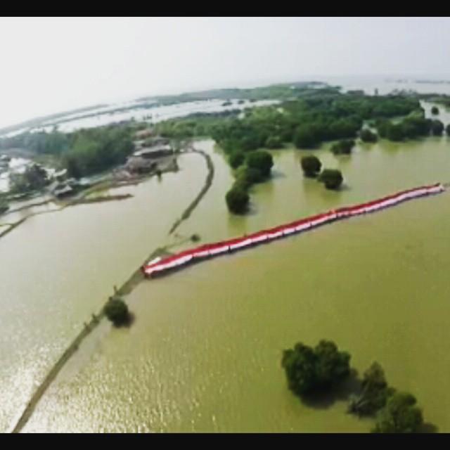 GuruhSahruji's tweet photo. RT @GuruhSahruji "muara gembong juga indonesia" #savemugo #100meterSangpusakaMerahputih #savelutungjawa #savemangrove http://t.co/RAnyLHcADO