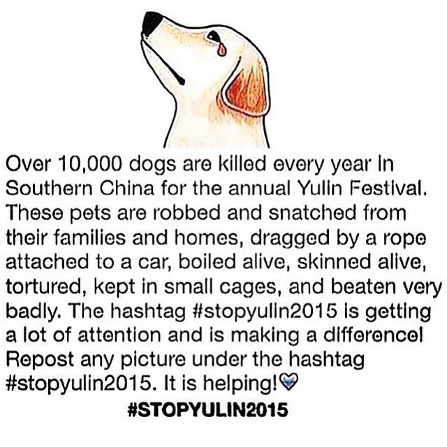 #STOPYULIN #STOPYULIN2015 #STOPYULINFOREVER
