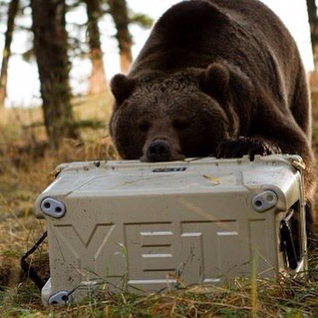 WickerLand's tweet photo. Yeti is the cooler of choice for outdoor enthusiasts, pros, tailgaters &amp; backyard barbeque kings. #Yeti #wickerland http://t.co/pgEeHTHGUI