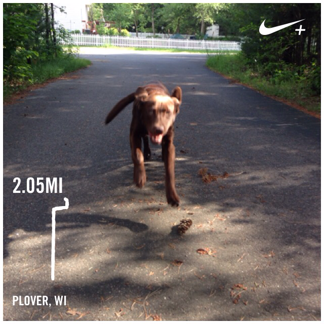 ErinRuff24's tweet photo. I just ran 2.05 mi @ a 8'50''/mi pace with Nike+. http://t.co/kF0qy1MKTb #nikeplus http://t.co/szjyGdigu9