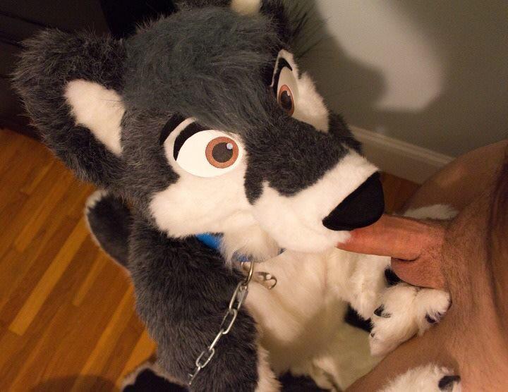 Some #fursuit #yiff for everyone! 