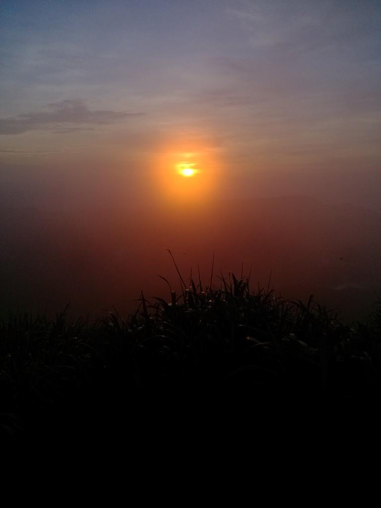 _chenyangyang's tweet image. The process of watching the sunrise .