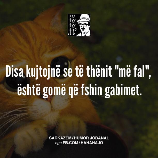 hahaha_jo's tweet image. Jepni pra fryte të denja të pendesës! 
Cit. Gjon Pagëzori
-----
#pendim #pendohem #mëfal #shqip #shqiptar #sarkazëm