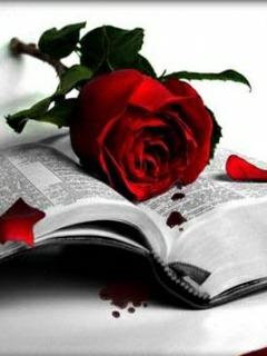 My faverate heroin kajal agarwal happy birthday to you and all my frends 