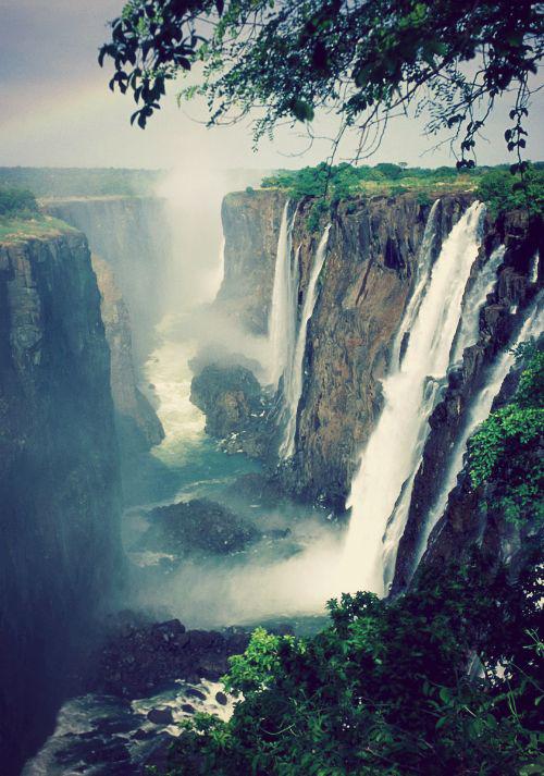 MukambiSafaris tweet picture