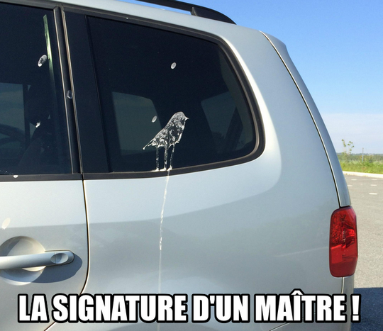 Demotivateur's tweet image. La signature d'un maître ! #buzz #insolite