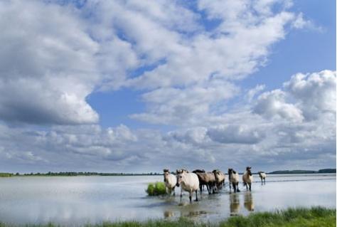 Elf travelbloggers bezoeken Lauwersmeer nritmedia.nl/kennisbank/347…