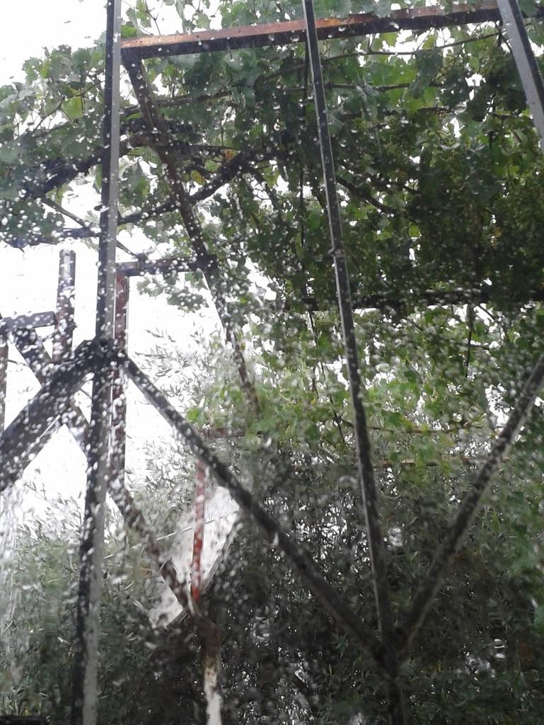 Haziranın ortasında yağmur. :)