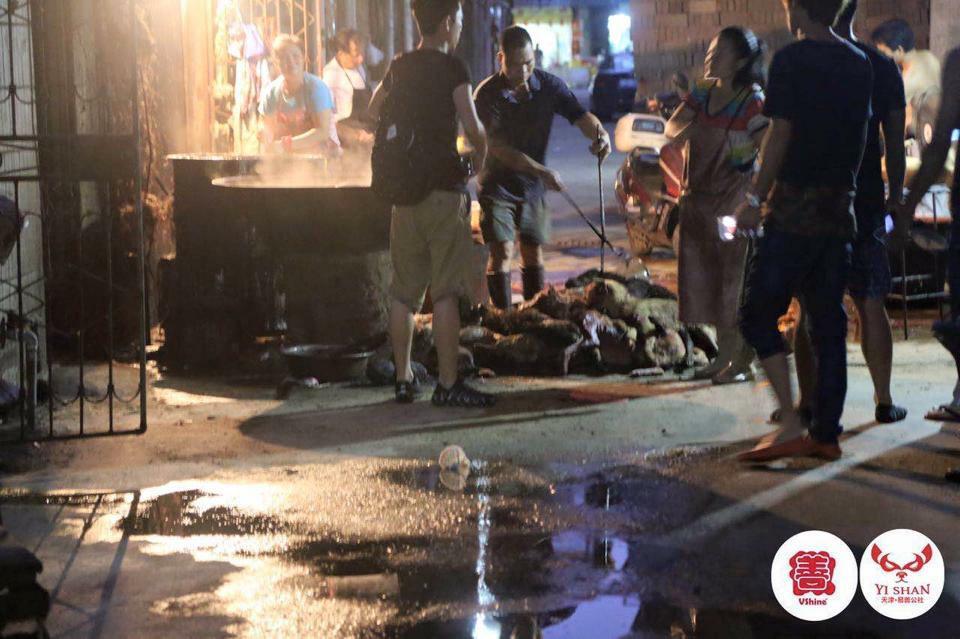 🆘🆘🆘🆘 totalgiving.co.uk/appeal/yulin20… #StopYuLin2015 #mrsyang