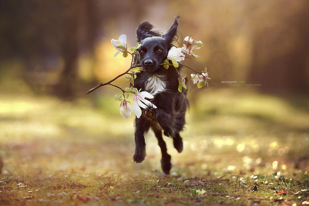 500px's tweet photo. So cute! Photo by Anne Geier: https://t.co/SN7dBEnGRC http://t.co/iRvzR9nWbf