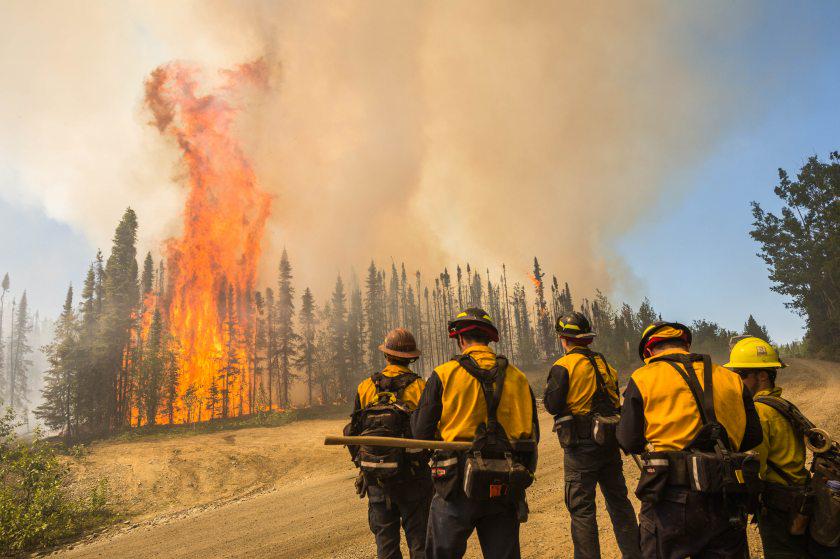 adndotcom's tweet image. #CardStreetFire has quadrupled in size in the past day, now at 12,000 acres bit.ly/1GvEpV6