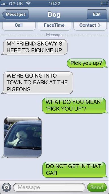 Phahahaha seen this on Facebook. If dogs could text! http://t.co/LyJ3V7pJeV<a href="/tag/slenderblend"class="tags"><span>#slenderblend</span></a>