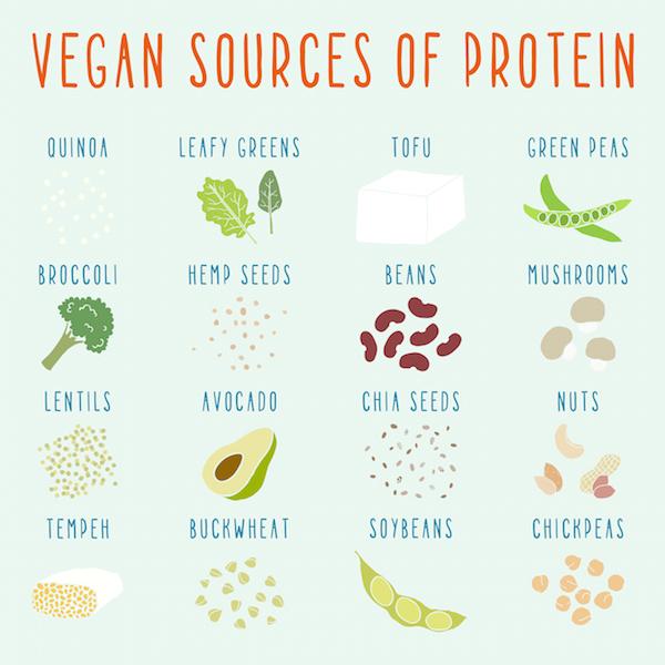 sarahquinneyBus's tweet photo. 10 Protein Sources for Vegans http://t.co/QS4oVhRPjZ
#rawfood #moreraw #rawfoodmumandstore http://t.co/fLlWMtyoYO