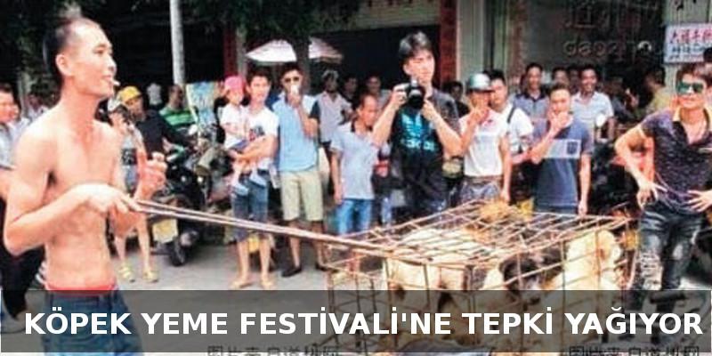 MhaHaber's tweet photo. #HayırlıCumalar Köpek Yeme Festivali'ne Tepki http://t.co/ORUtJLBpHv http://t.co/j28glIIHZb