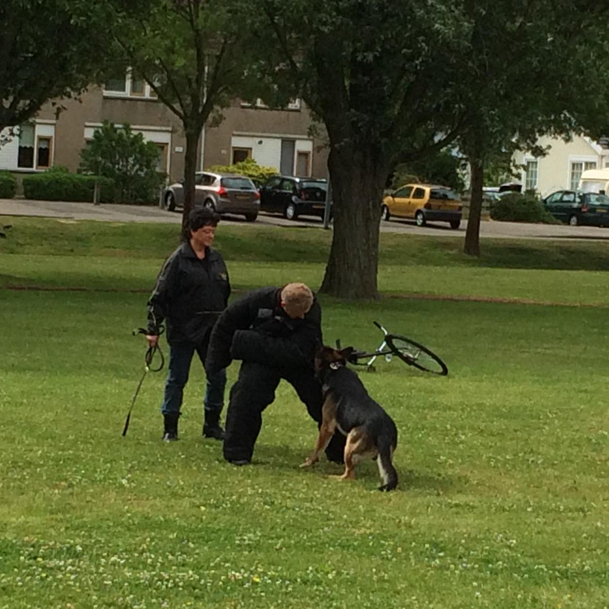 Demonstratie Politiehonden. Dat is een hele andere #veiligheidopschool. <a href="/sbodefakkel/">SBO De Fakkel </a>