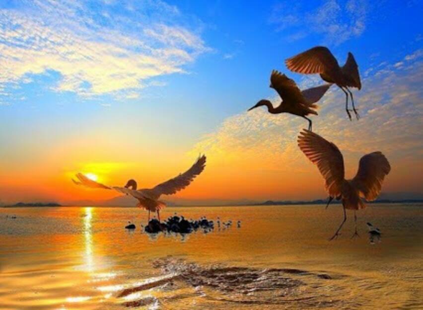 MarionSpekker's tweet photo. @gulkag1998 
Thank you :-)) 🌻🌻 http://t.co/YaDvKmHVSH