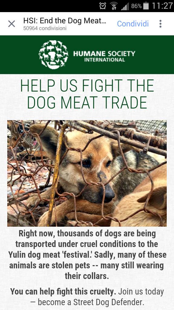 Conte1988Sara's tweet photo. Fermiamo il festival della carne di cane di Yulin. Help us fight the dog meat trade. @iansomerhalder @NikkiReed_I_Am http://t.co/cuPBg8upu9