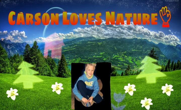 ItsALuedizer's tweet photo. @carsonlueders #LittleEdit Hope u like it!Who else loves nature??ππππ http://t.co/gWSGFewtdT