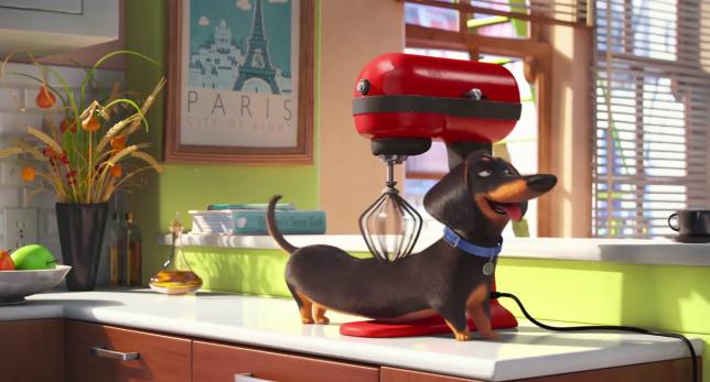 'Mascotas': ¿Qué hacen tu perro y tu gato cuando no estás en casa? bit.ly/1I15YId