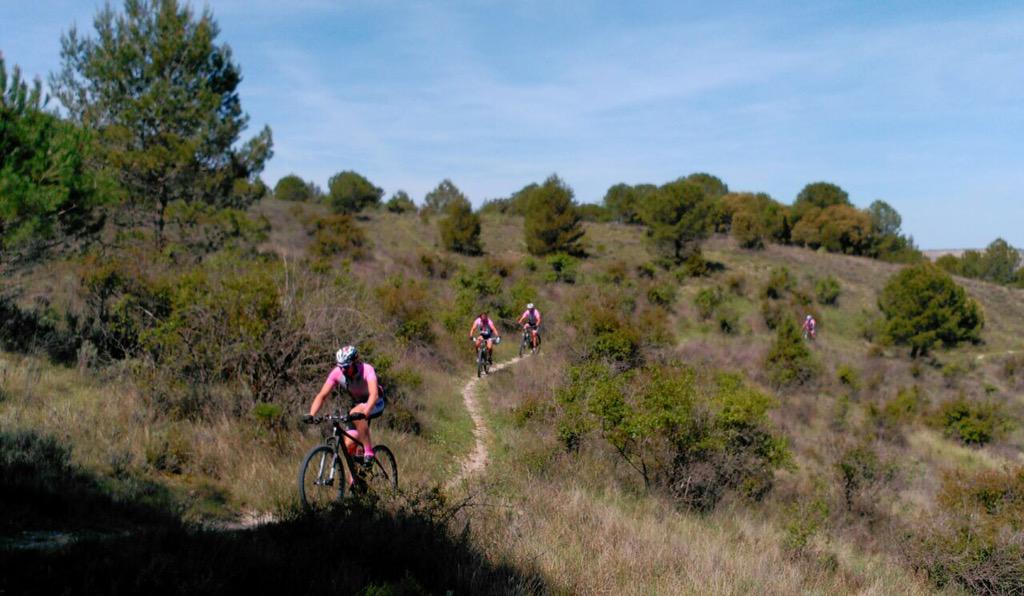 El Día 12, Julio tendrá lugar en Sardon uno de los eventos deportivos más importantes de la provincia <a href="/bikesybirras/">Centro BTT BIKES & BIRRAS</a>