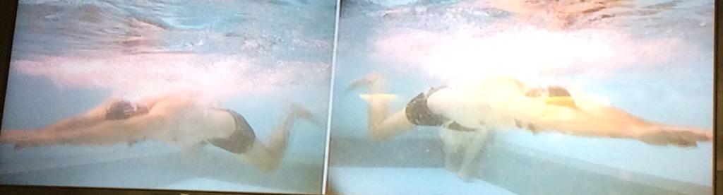 Having fun in the endless pool <a href="/SinclairEdward/">Sinclair Edward</a> <a href="/SwimCamps/">Maximum Performances</a> #analysis #technique #workout