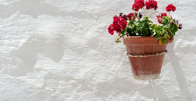 #Andalucía  está llena de pequeños detalles que convierten lo normal en extraordinario porque #andaluciaesmas