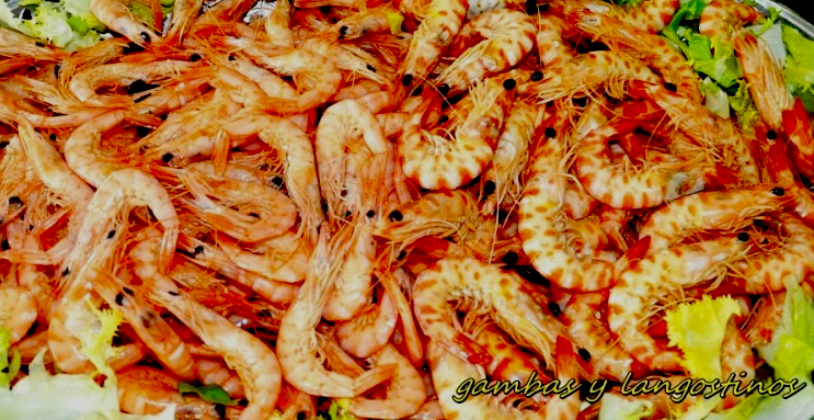 ventadevargas24's tweet photo. #gambas #langostinos #plancha #cocidos #marisco #ventadevargas #asihtur #sanfernando #mariscada @ventadevargas24 #hoy http://t.co/7S5Simhmy2