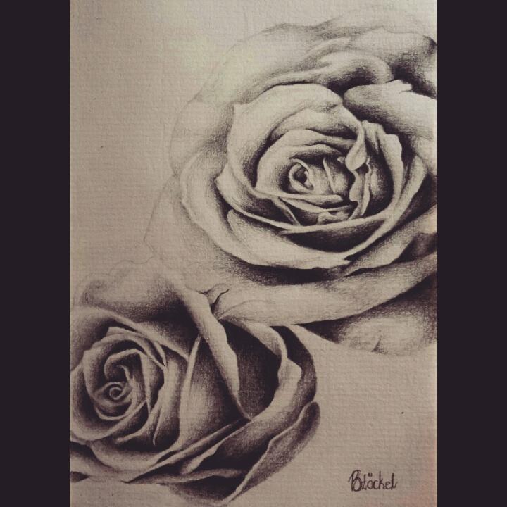 BiancaStockel's tweet photo. Pencil Sketch ♡ #artwork #roses #passion http://t.co/kyWJL5Kyxf
