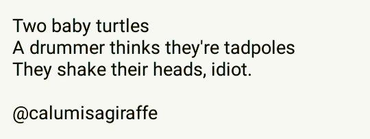 calumisagiraffe's tweet photo. No one is ever gonna let Ashton Irwin live this down. Its so good, its poem worthy #5SOSHaiku #5sos #ROWYSOProject http://t.co/cOsm7aj0sL