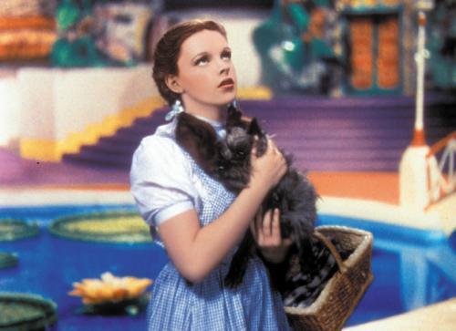 SitStayandClick's tweet image. Who's your favorite movie pet? #PetsInFilmDay