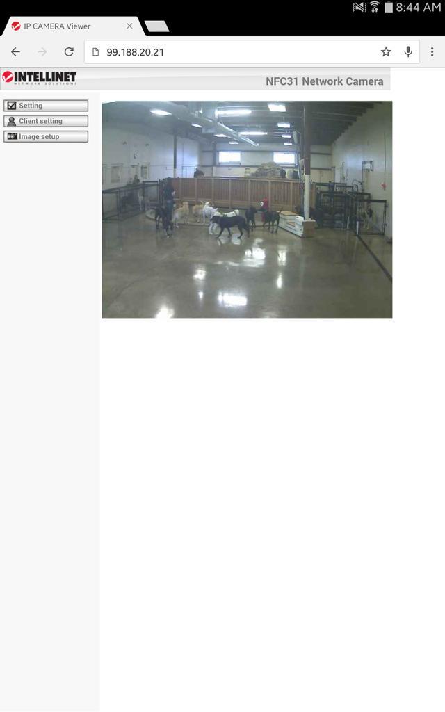 bigceej33's tweet image. #FreePorter