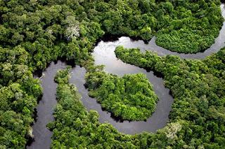 ceisjailed's tweet photo. Amazon Rainforest, Amerika Selatan

Do you want this forest to forest the most beautiful? Please retweet this tweet! http://t.co/sTWuUWScCA