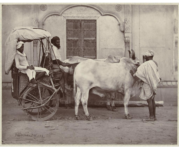 arkyves's tweet photo. Carriage with two oxen, presumably in India.
1857-1861
@rijksmuseum
http://t.co/0hwNwRyA90 http://t.co/ziqNnrdhVE