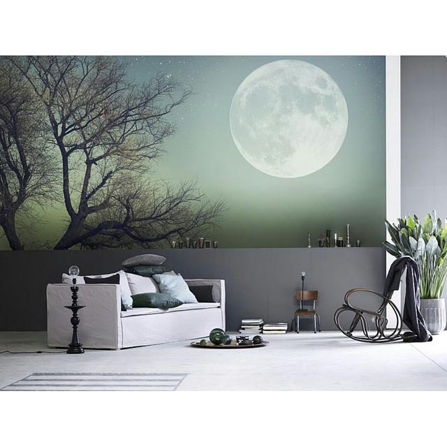 ¿Te gusta sentirte cerca de la naturaleza? Entonces personaliza tu espacio con el diseño de tu elección. 
www.decomur