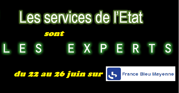 MayenneRT's tweet photo. RT Prefet53: Toute la semaine prochaine retrouvez des agents de l’Etat en #Mayenne sur bleumayenne pour préparer l… http://t.co/NBlcFeNlh5