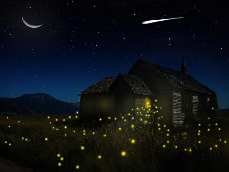 ecamanda's tweet photo. FIREFLIES https://t.co/u9GuMcSte1 http://t.co/LezS2ScERS