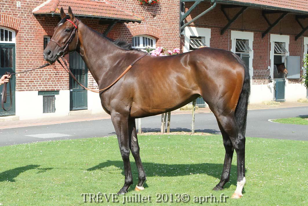 AprhChantilly's tweet image. physical evolution of TRÊVE @FollowTreve
