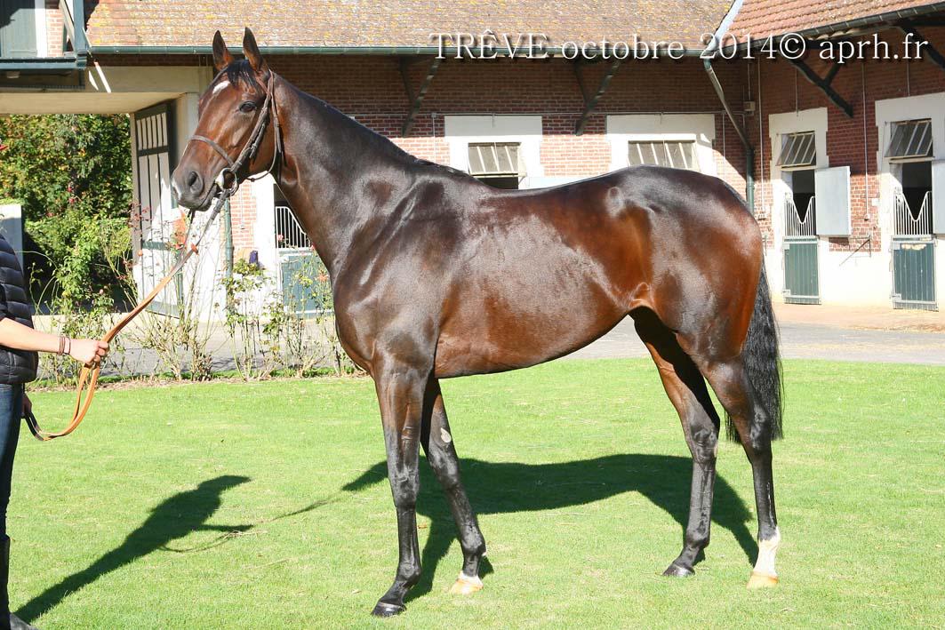 AprhChantilly's tweet image. physical evolution of TRÊVE @FollowTreve